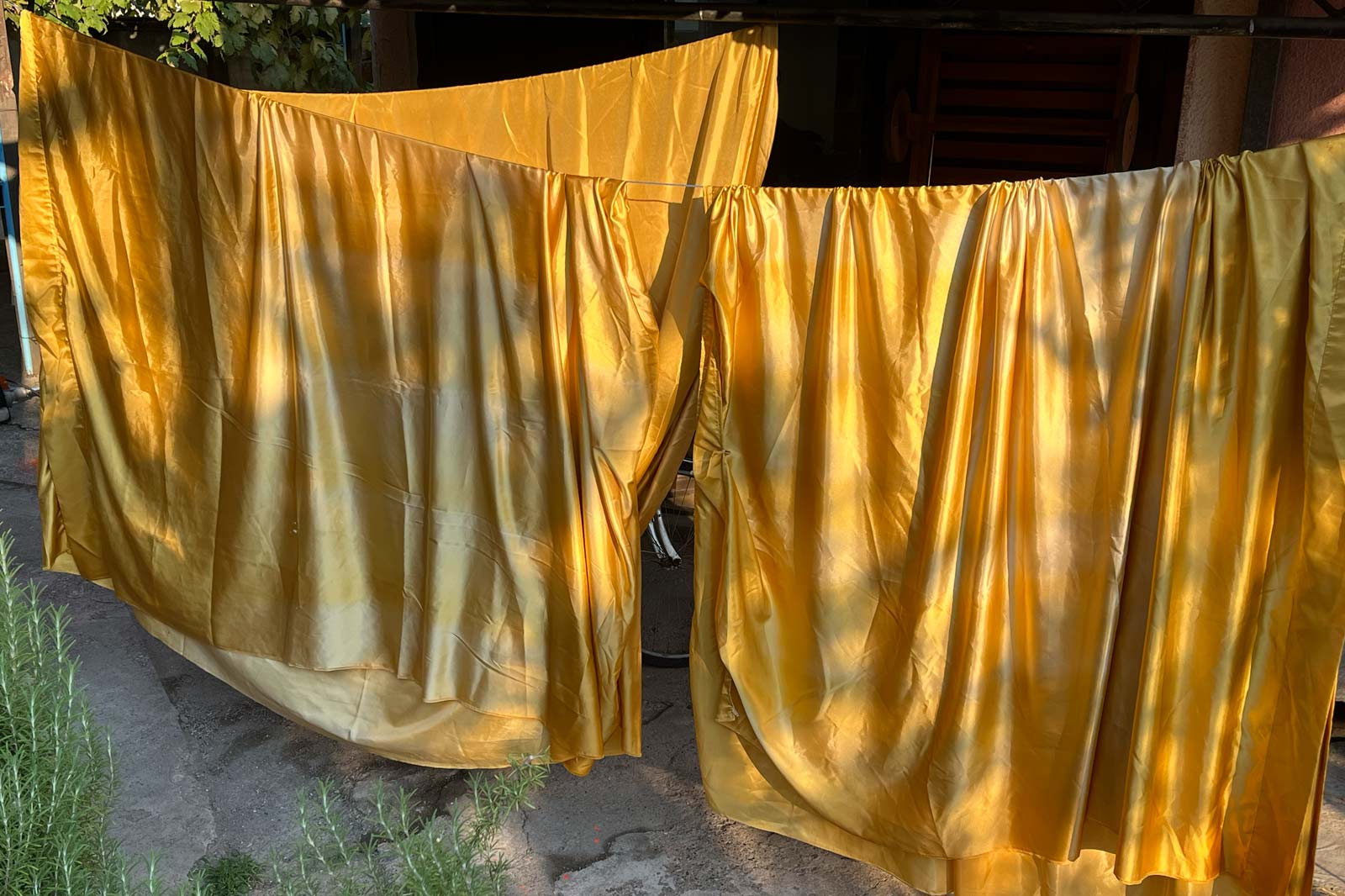 Graphic designer Aleksandar Todorovic