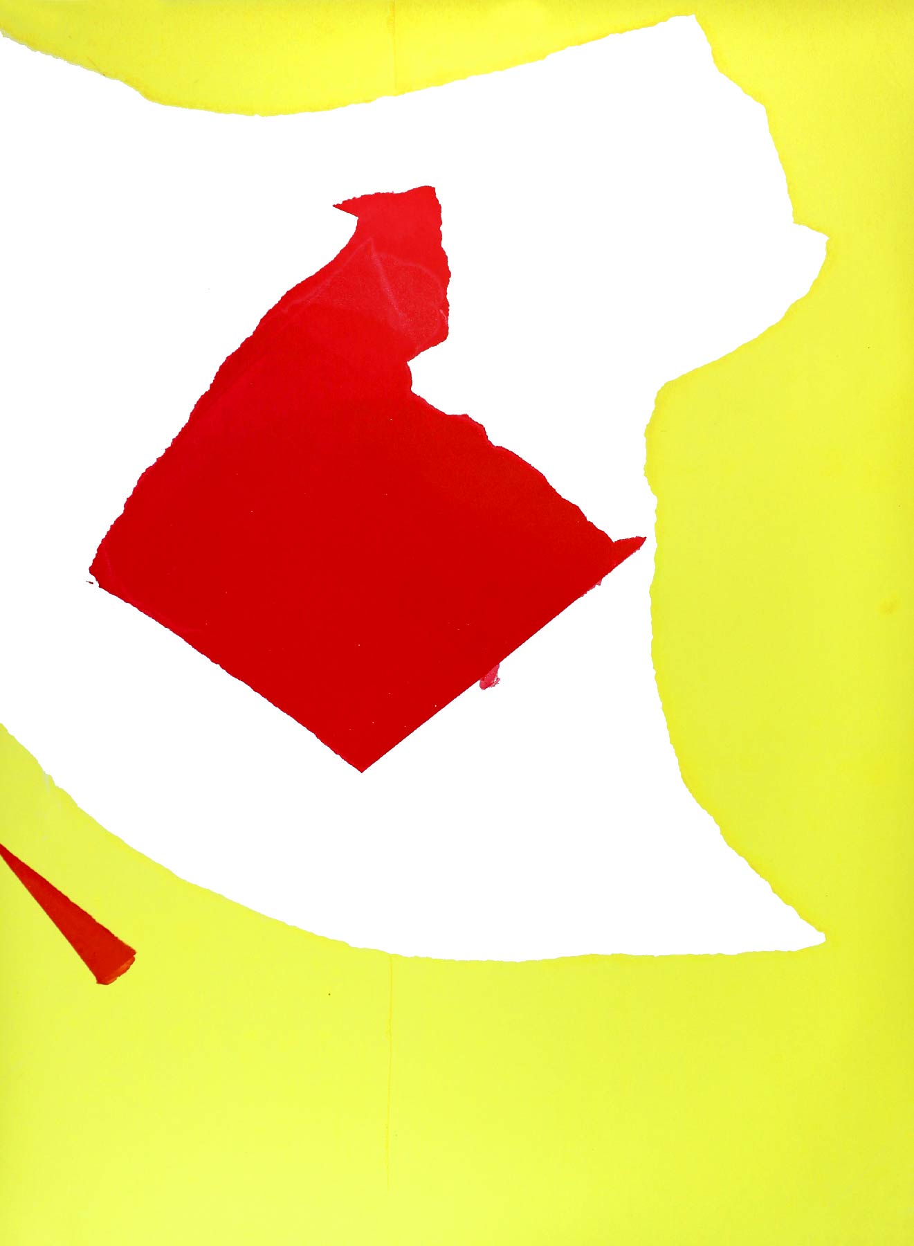  Graphic designer Aleksandar Todorovic