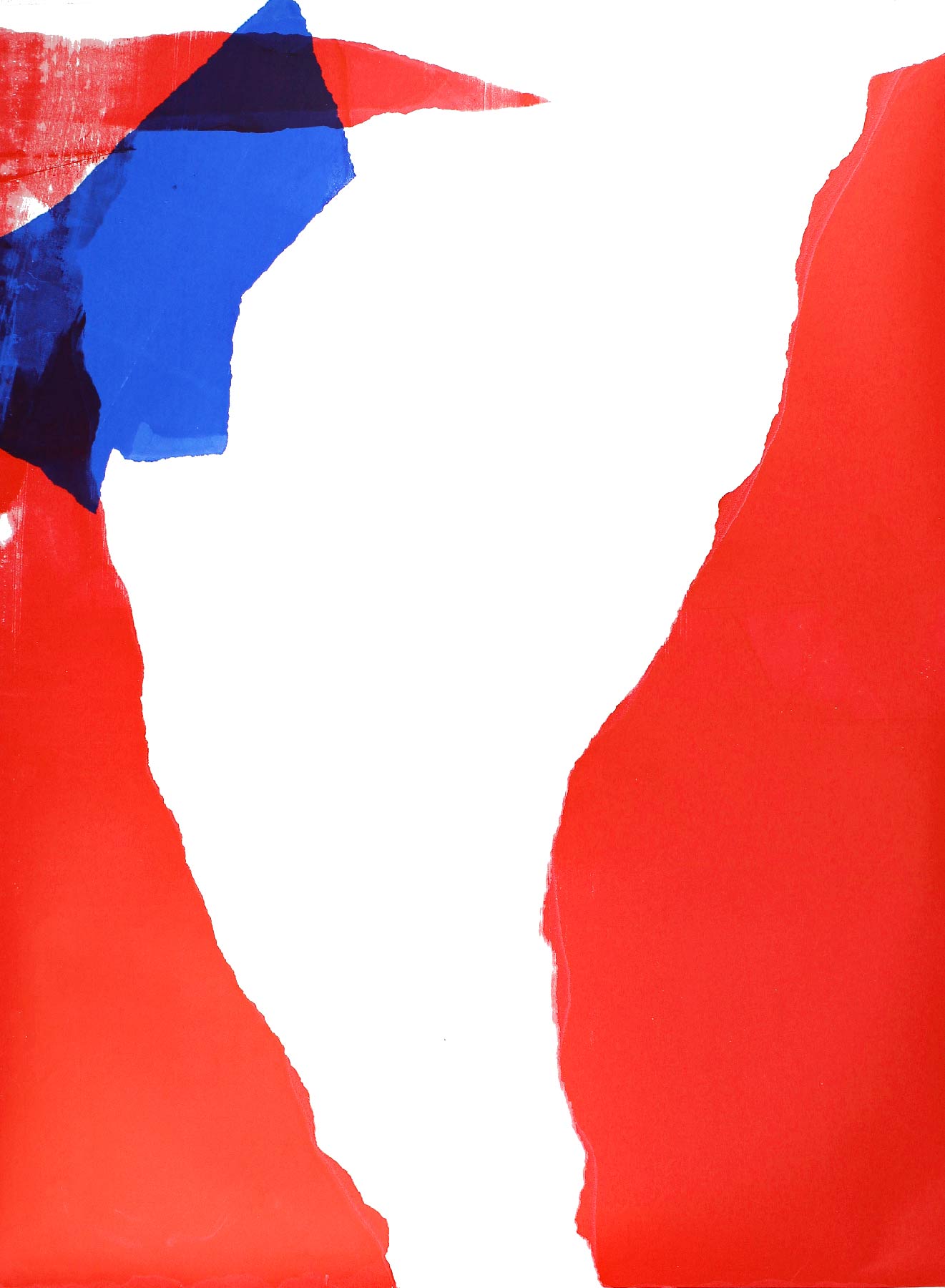  Graphic designer Aleksandar Todorovic