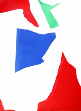  Graphic designer Aleksandar Todorovic