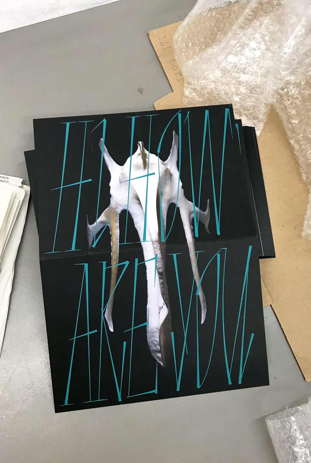 Graphic designer Aleksandar Todorovic