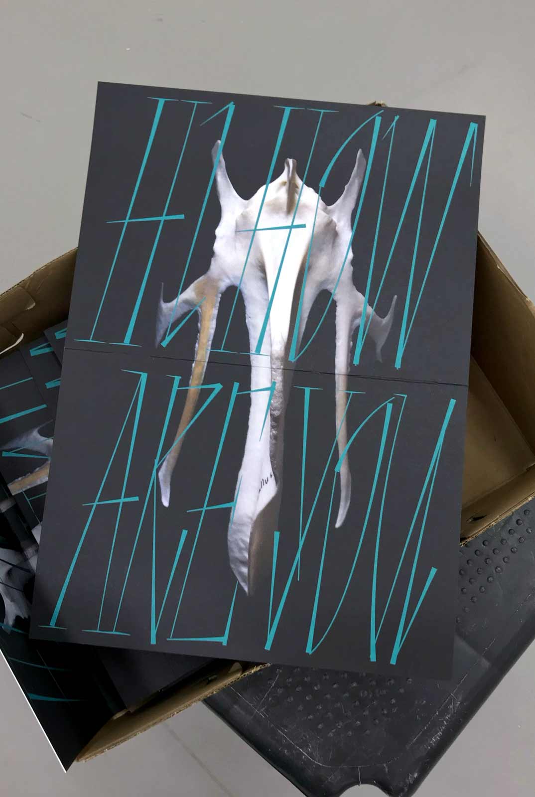 Graphic designer Aleksandar Todorovic