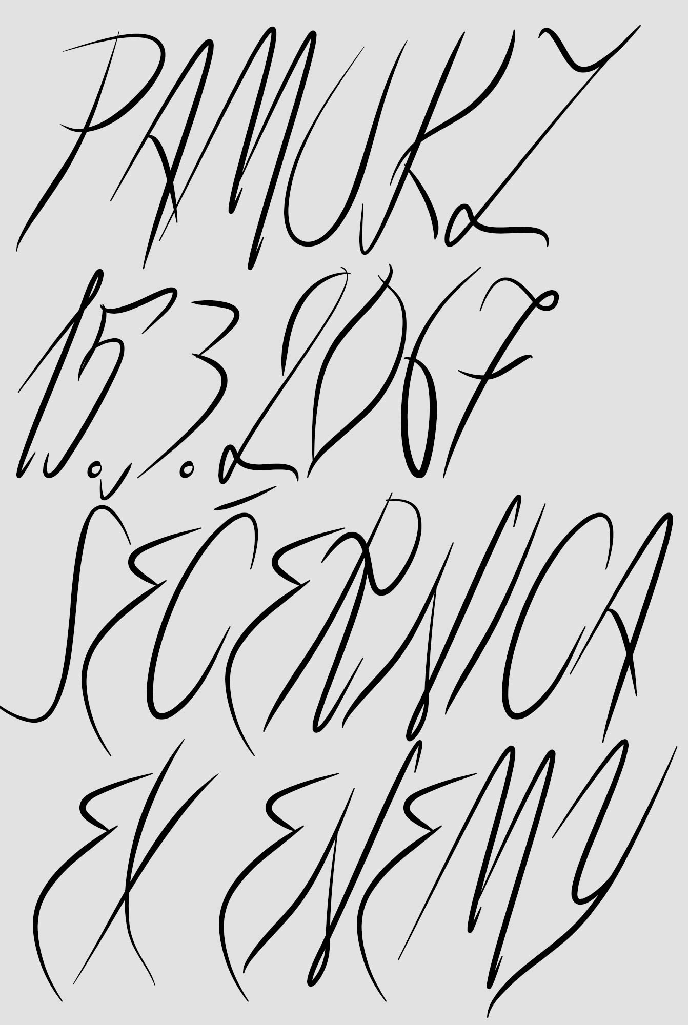 Graphic designer Aleksandar Todorovic