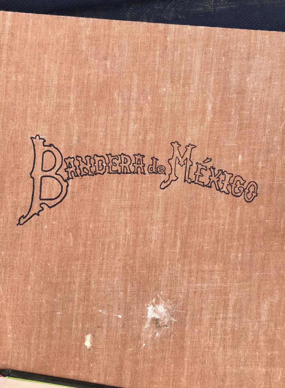 Graphic designer Aleksandar Todorovic