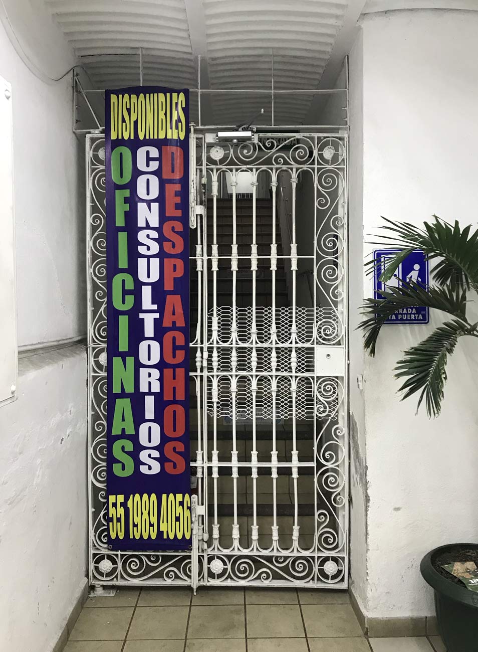 Graphic designer Aleksandar Todorovic