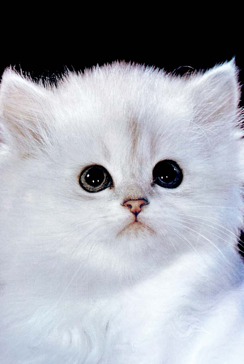 Graphic designer Aleksandar Todorovic