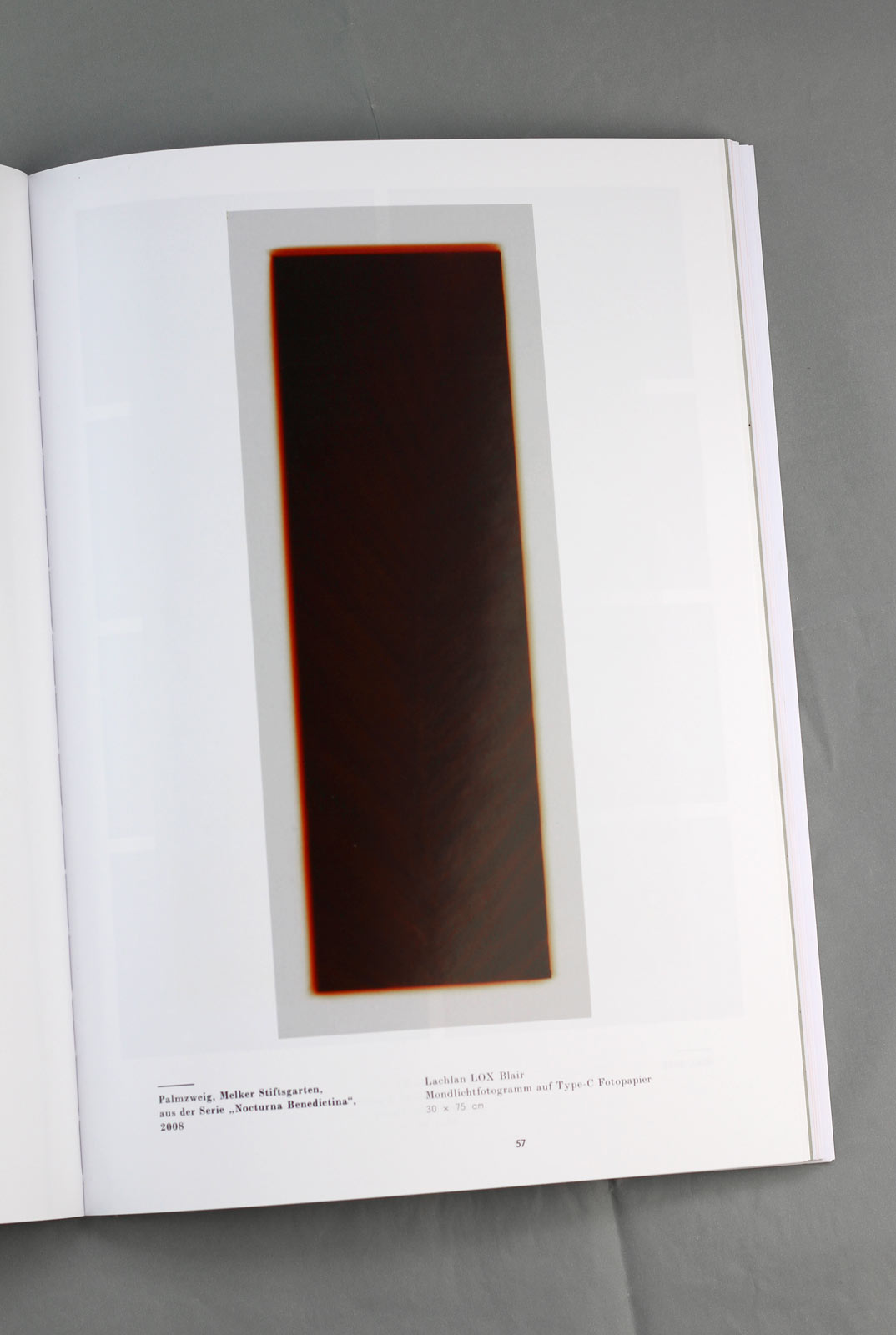  Graphic designer Aleksandar Todorovic