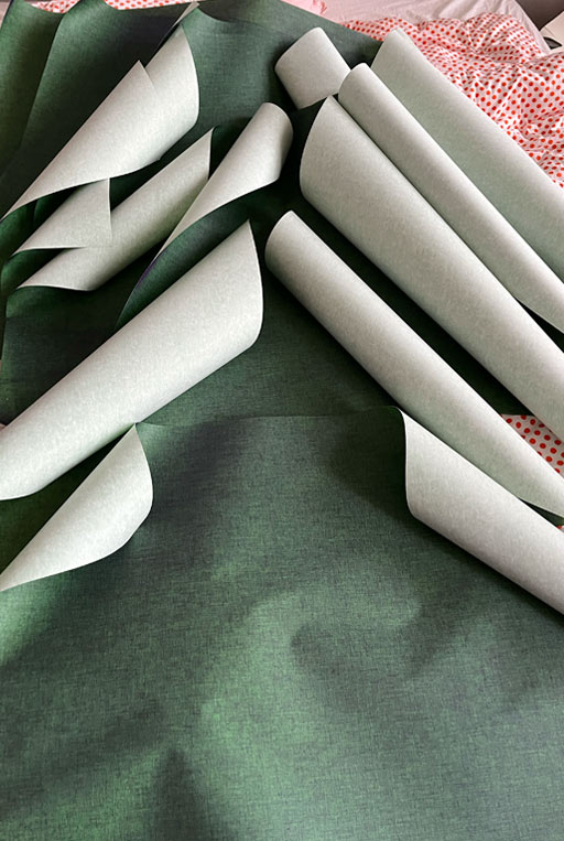 Graphic designer Aleksandar Todorovic