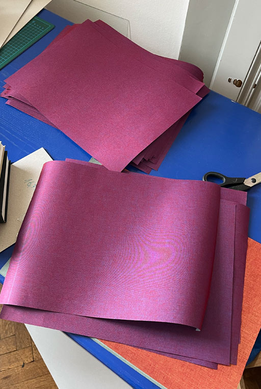 Graphic designer Aleksandar Todorovic