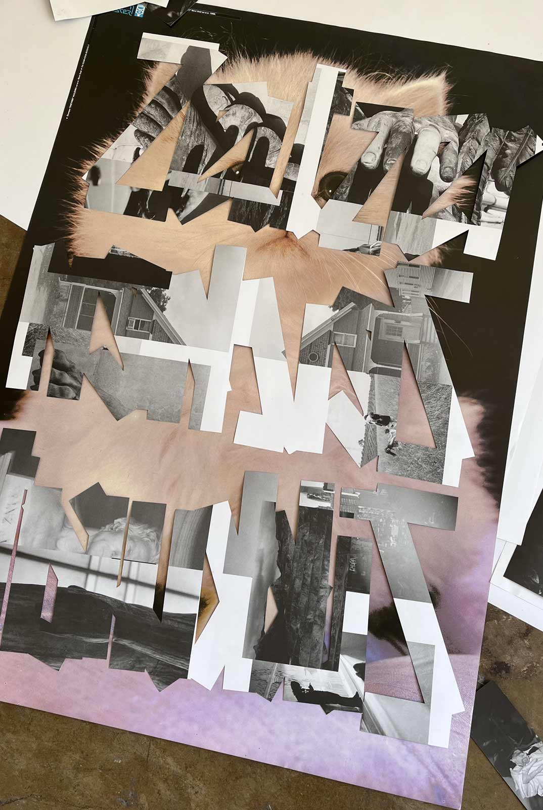 Graphic designer Aleksandar Todorovic