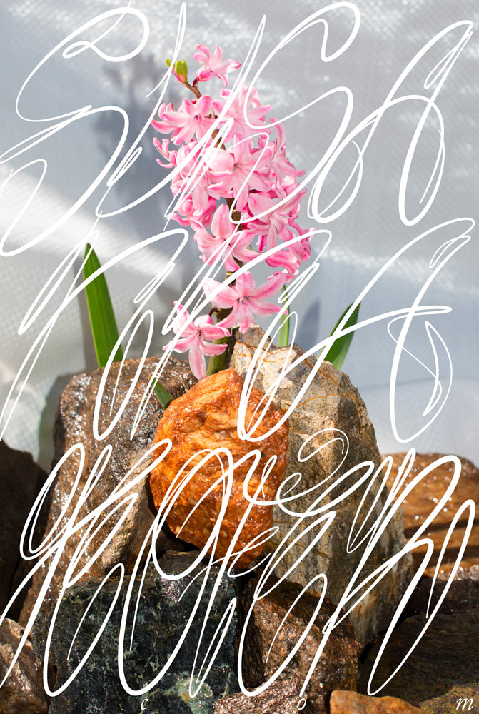  Graphic designer Aleksandar Todorovic