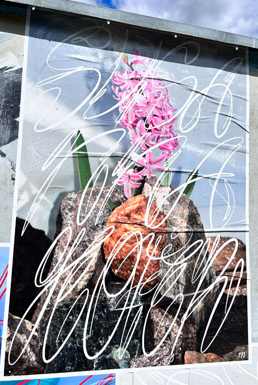  Graphic designer Aleksandar Todorovic