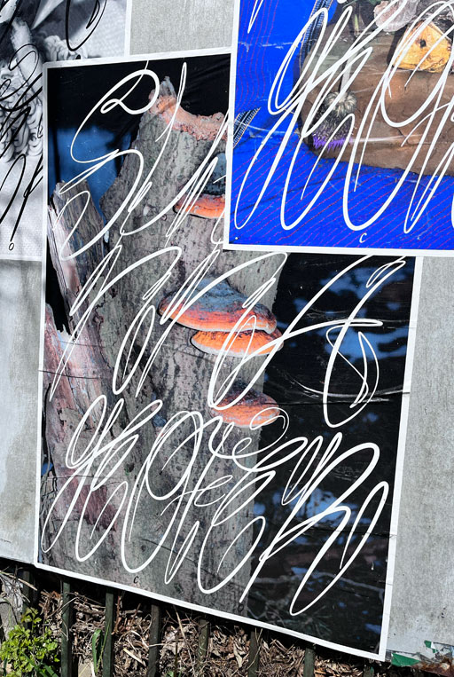  Graphic designer Aleksandar Todorovic