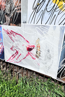  Graphic designer Aleksandar Todorovic