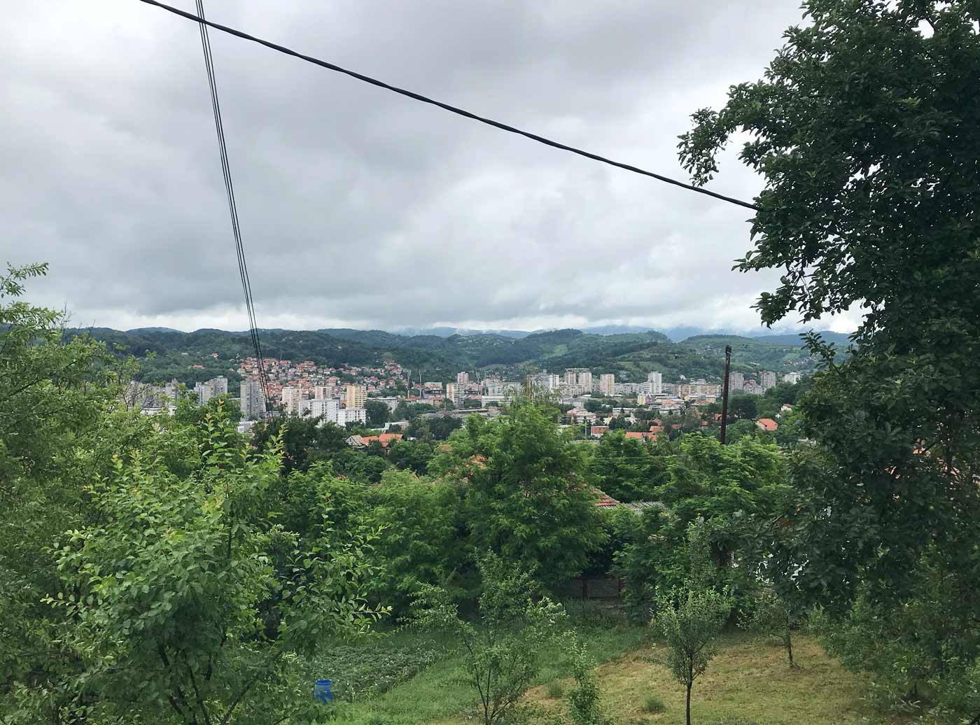  Graphic designer Aleksandar Todorovic