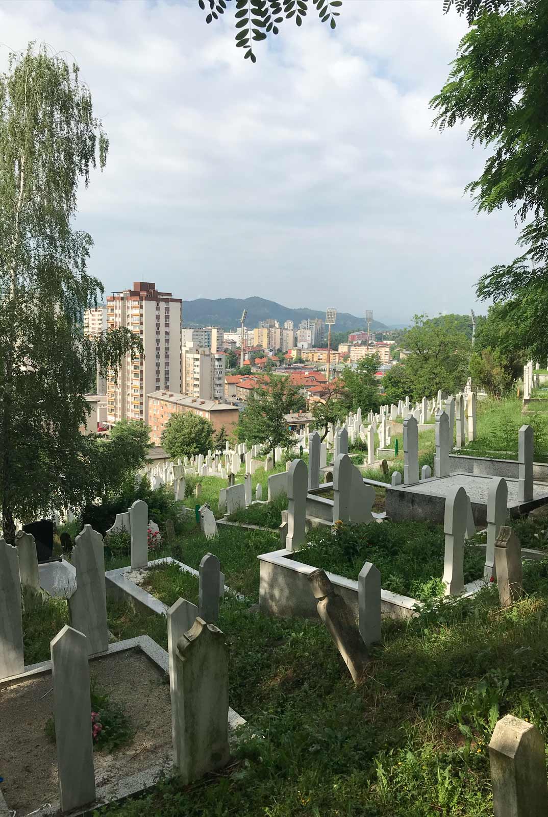  Graphic designer Aleksandar Todorovic