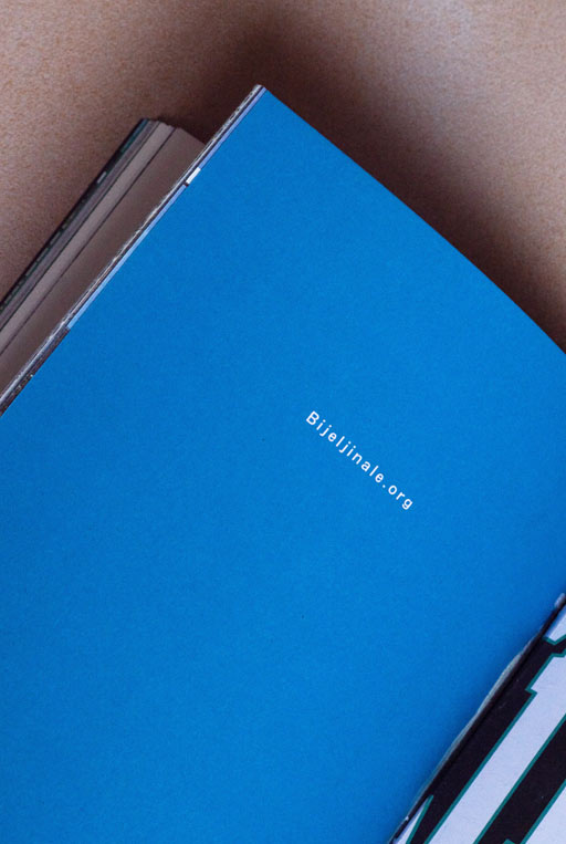 Graphic designer Aleksandar Todorovic