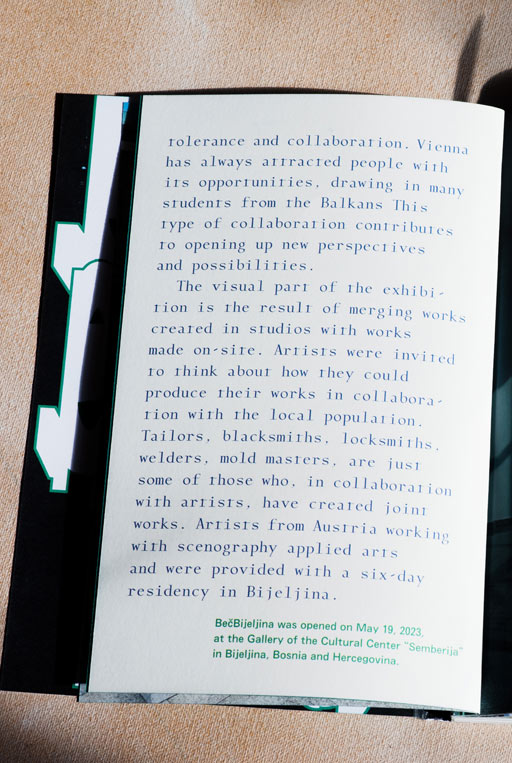 Graphic designer Aleksandar Todorovic