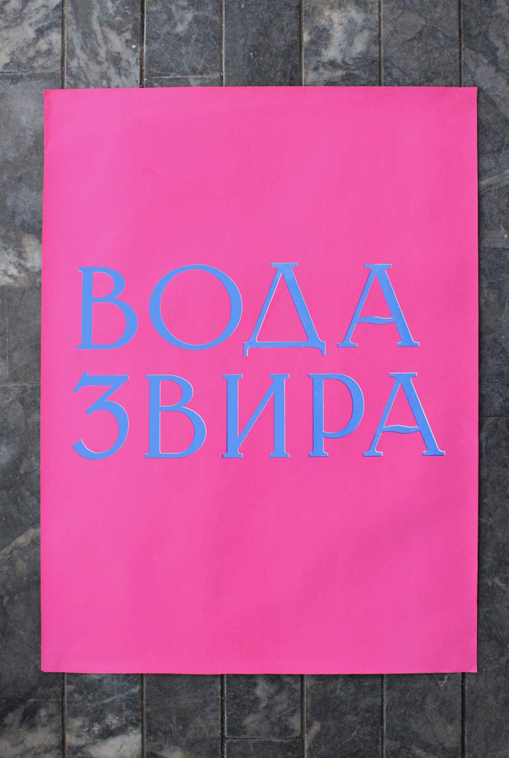 Graphic designer Aleksandar Todorovic