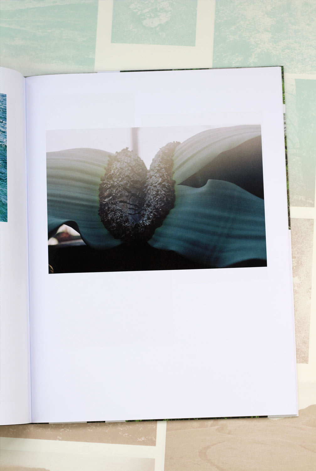 Graphic designer Aleksandar Todorovic