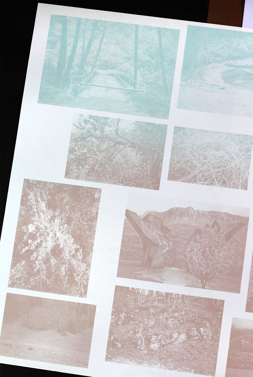 Graphic designer Aleksandar Todorovic