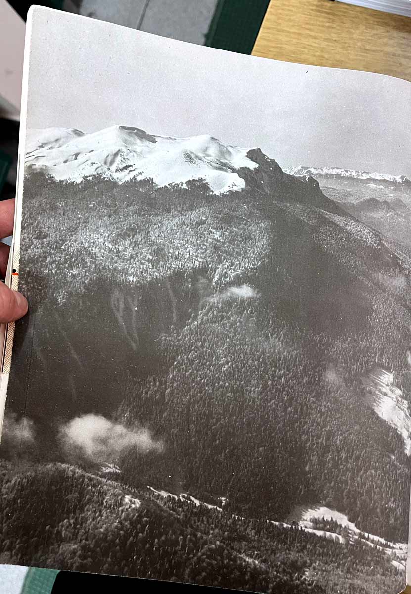 Graphic designer Aleksandar Todorovic