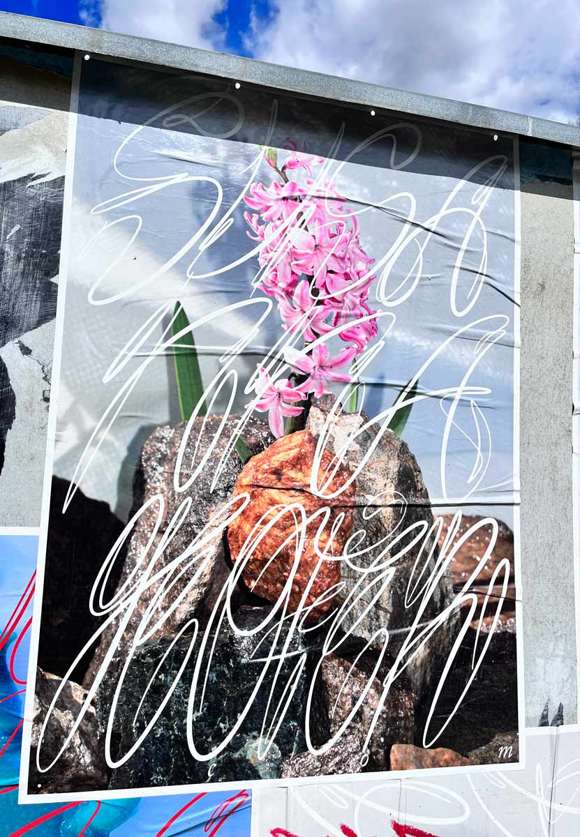 Graphic designer Aleksandar Todorovic