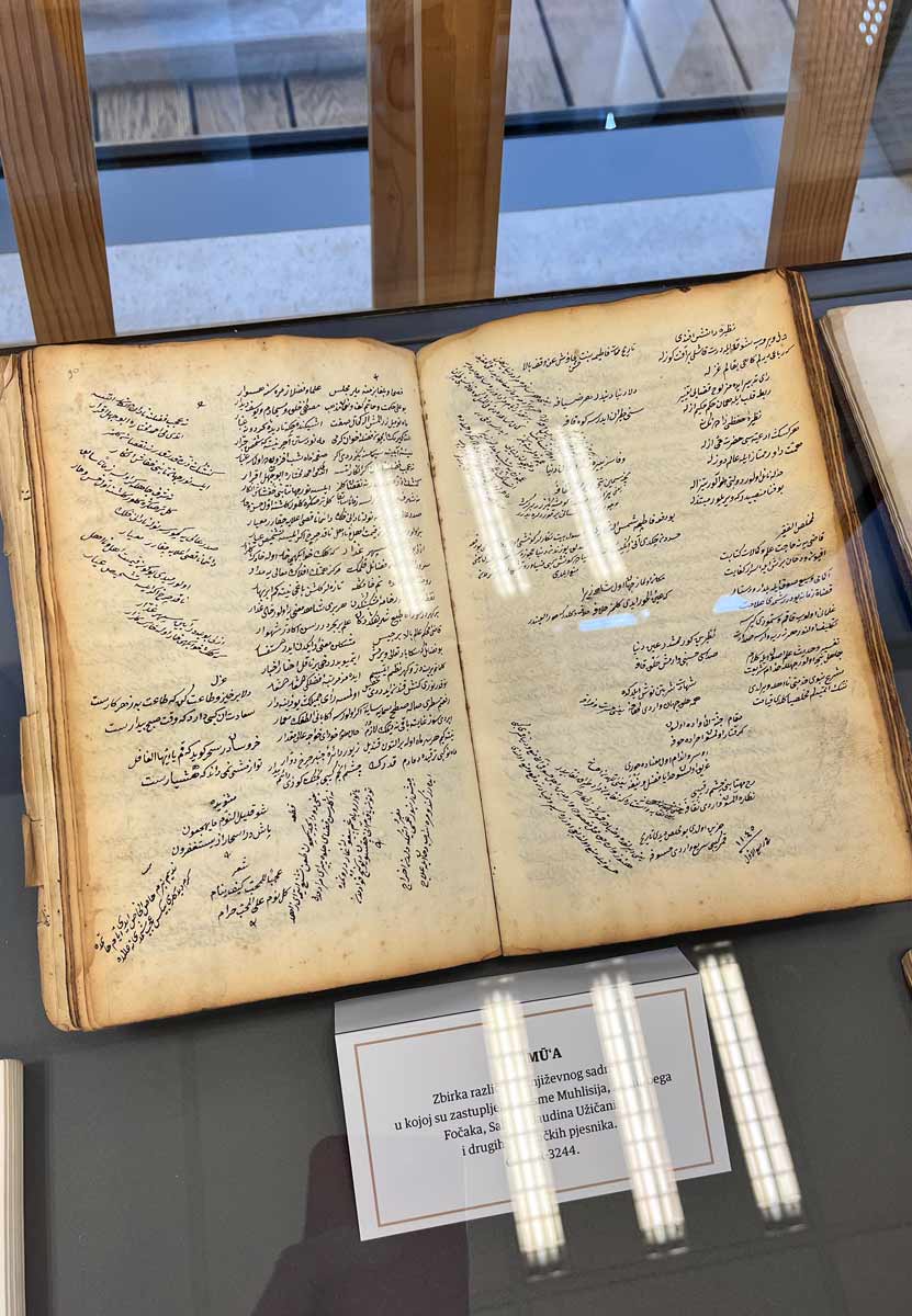 Graphic designer Aleksandar Todorovic