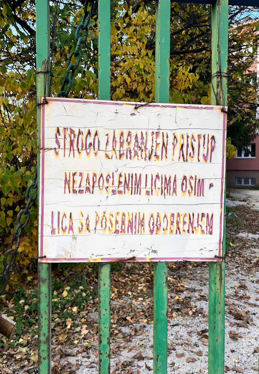 Graphic designer Aleksandar Todorovic